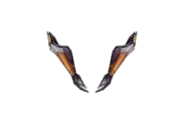 Sylphid Ray Gloves Drop Locations
