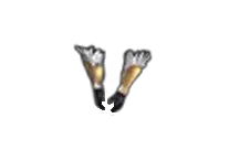 Succubus Gloves Drop Locations