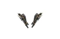 Stormwing Gloves Drop Locations