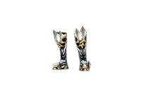 Guardian Boots Drop Locations