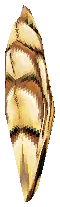 Golden Sentence Drop Locations