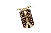 Skull Shield Drop Locations