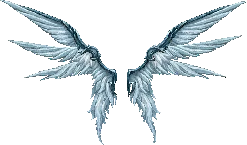Wings of Disillusion - Rune Wizard wings Mu Online
