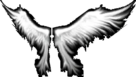 Wings of Heaven - Dark Wizard wings Mu Online