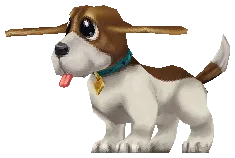 Shinan Beagle Drop Locations
