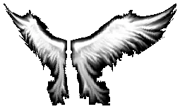 Small Wings of Heaven Drop Locations