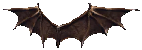 Small Wings of Satan Drop Locations
