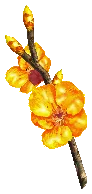 Golden Cherry Blossom Branch Drop Locations
