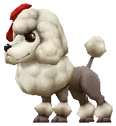 Dodo Poodle Drop Locations