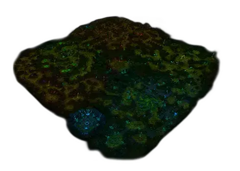 SwampOfDarkness Drop List & Monsters