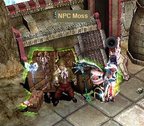 NPC Moss in Elbeland, who sells the Guardian Box